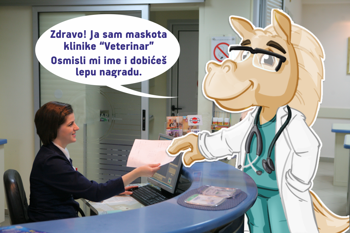 Otvoren konkurs za najbolje ime naše maskote: konja