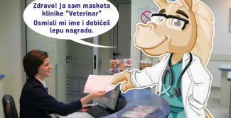 Otvoren konkurs za najbolje ime naše maskote: konja