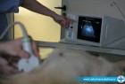 Veterinarska klinika