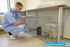 Veterinarska klinika