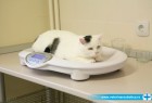Veterinarska klinika