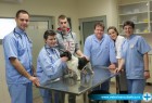 Veterinarska klinika