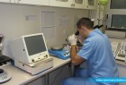 Veterinarska laboratorija