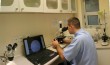 Veterinarska laboratorija